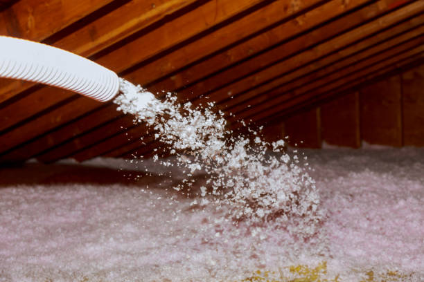 Best Eco-Friendly Insulation in Chambersburg, PA